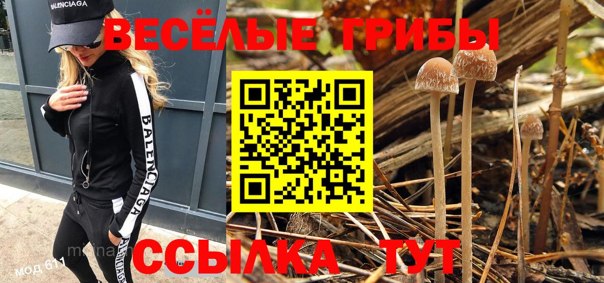 Псилоцибиновые грибы GOLDEN TEACHER Арсеньев