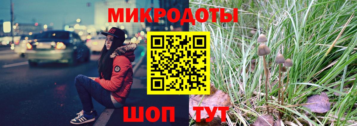 Псилоцибиновые грибы Psilocybine cubensis  где продают   Арсеньев  Галлюциногенные грибы Psilocybine cubensis  Вход с VPN 